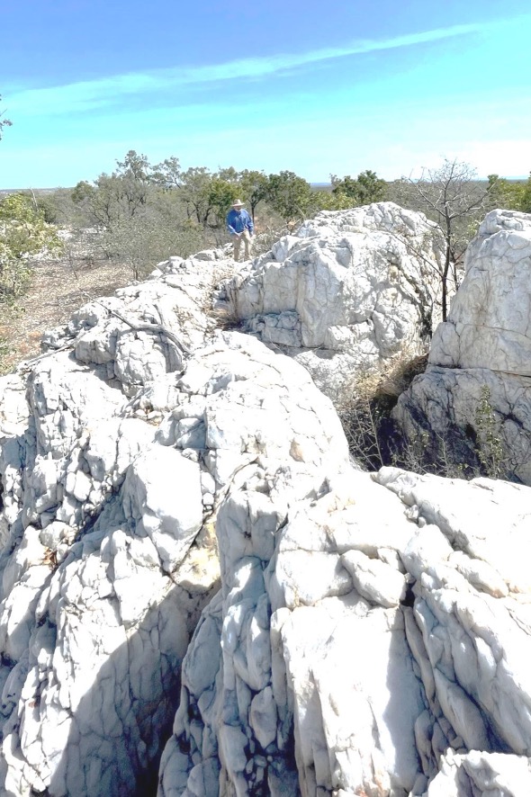 White Springs Outcrop